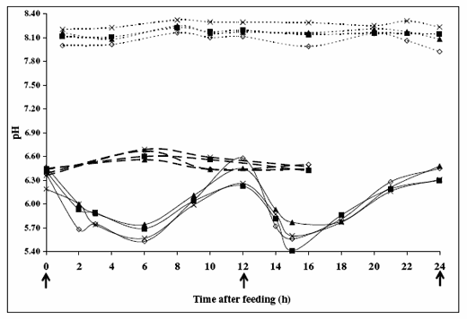 Effect of Corn Silage Diets to Dairy Cows - Image 10