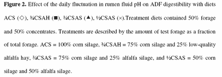 Effect of Corn Silage Diets to Dairy Cows - Image 13