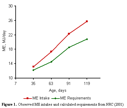 Applicability of National Research Council calf feeding standards to a dual purpose system in Venezuela - Image 1
