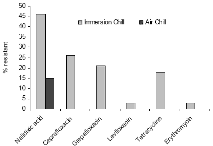 Food Safety and Feeding: Antibiotic Resistant Campylobacter - Image 2