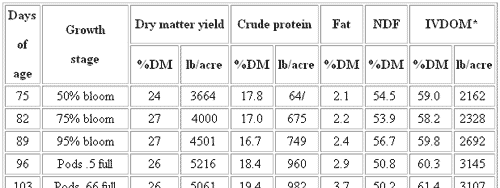 Forage Soybeans for Grazing, Hay and Silage - Image 1