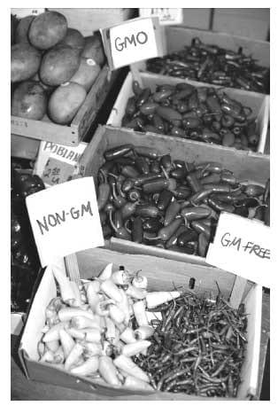 The globalization of the animal feed industry: are we marketing animal feed or human food? - Image 1
