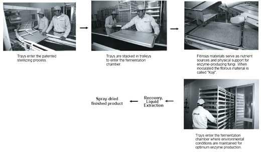 The globalization of the animal feed industry: are we marketing animal feed or human food? - Image 11