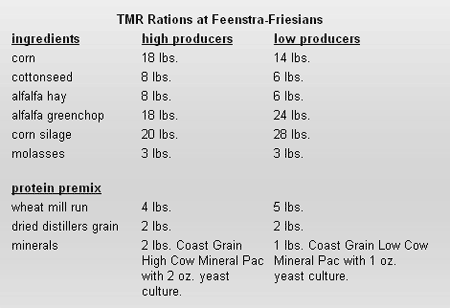 Managing Facilities and Feed to Help Minimize Heat Stress - Image 1