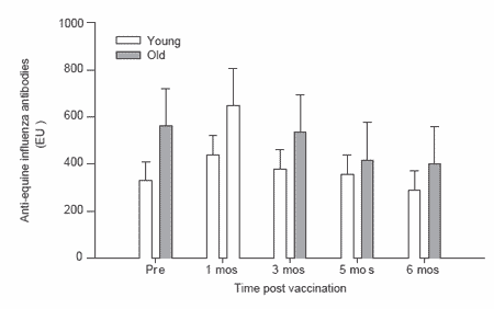 Immune response of older horses - Image 1