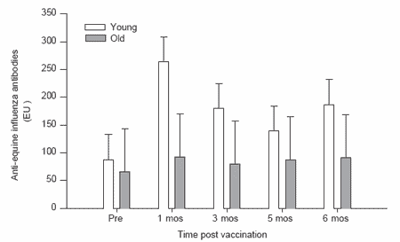 Immune response of older horses - Image 2