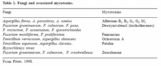 The impact of mycotoxins on performance and health of dairy cattle - Image 1