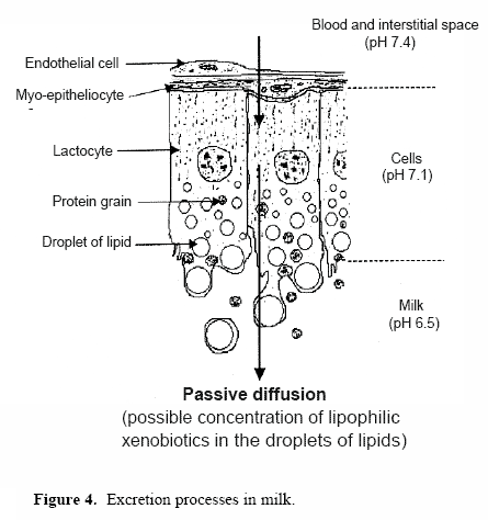 The impact of mycotoxins on performance and health of dairy cattle - Image 13