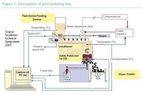 Improving enzyme resistance to pelleting conditions - Image 1