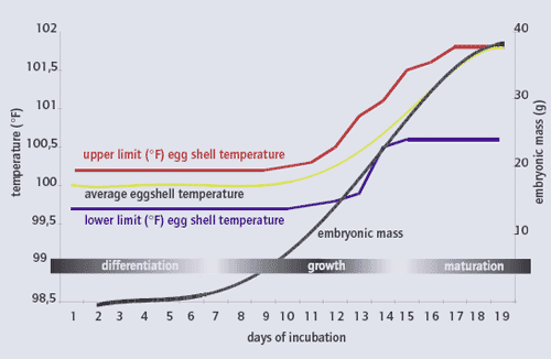 Single stage incubation is the most natural choice - Image 3