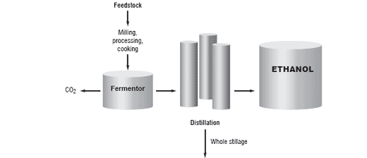 Re-imagining the feed industry: focus on price, perception and policy - Image 13