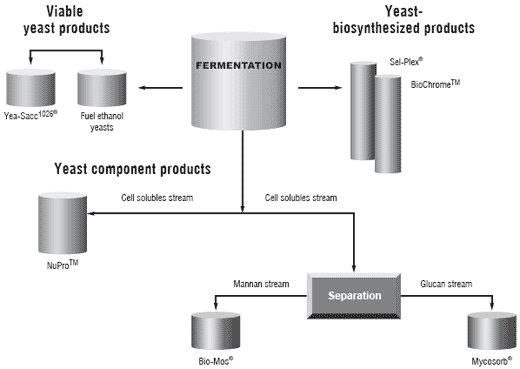 Re-imagining the feed industry: focus on price, perception and policy - Image 15