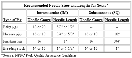 Injection Use and Quality Assured Pork - Image 1