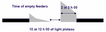 From 4 to 16 weeks, building the potential of the future layer - Image 3