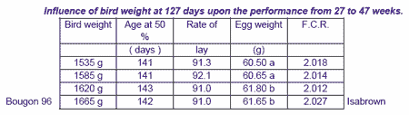 General principles of the lighting programmes in rearing period - Image 3