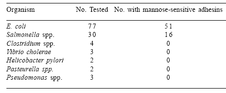 Mannan oligosaccharides in poultry nutrition: mechanisms and benefits - Image 1