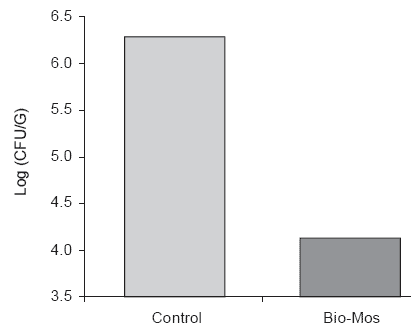 Mannan oligosaccharides in poultry nutrition: mechanisms and benefits - Image 2