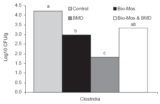 Mannan oligosaccharides in poultry nutrition: mechanisms and benefits - Image 3
