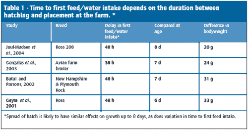 Maximising uniformity through top-level hatchery practice - Image 3