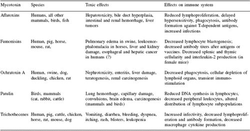 Mycotoxins in the food chain: a look at their impact on immunological responses - Image 3