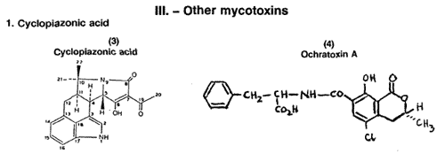 Mycotoxins and their effect on poultry production - Image 2