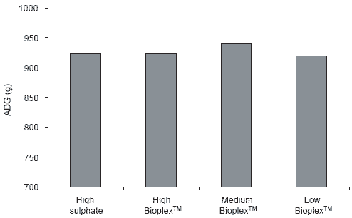 Modern pig nutrition for performance: minerals, metabolism and the environment - Image 7