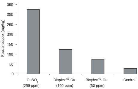 Modern pig nutrition for performance: minerals, metabolism and the environment - Image 11
