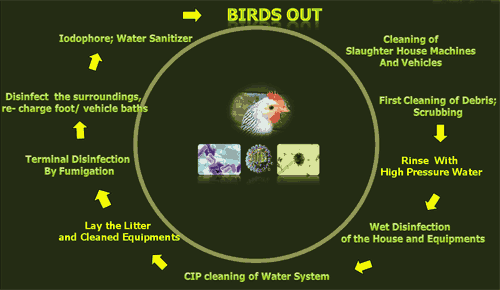 Biosecurity, an outline - Image 7