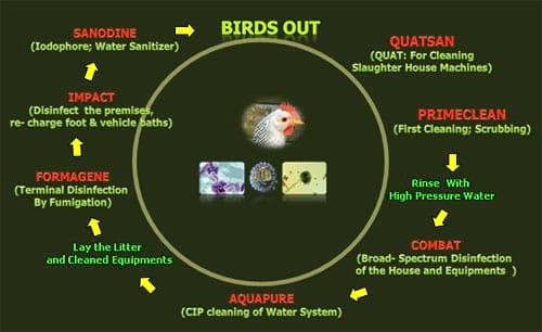 Biosecurity, an outline - Image 8
