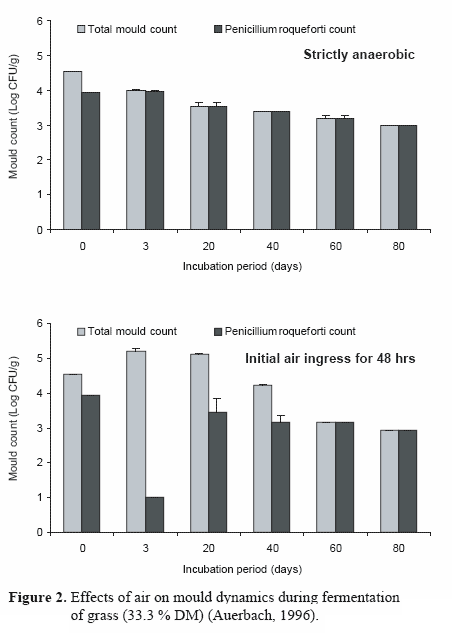 Mould growth and mycotoxin contamination of silages: sources, types and solutions - Image 3