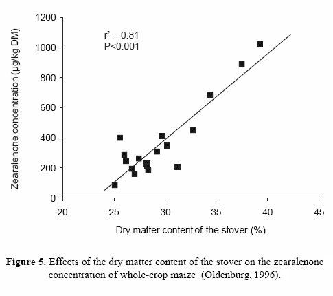 Mould growth and mycotoxin contamination of silages: sources, types and solutions - Image 7