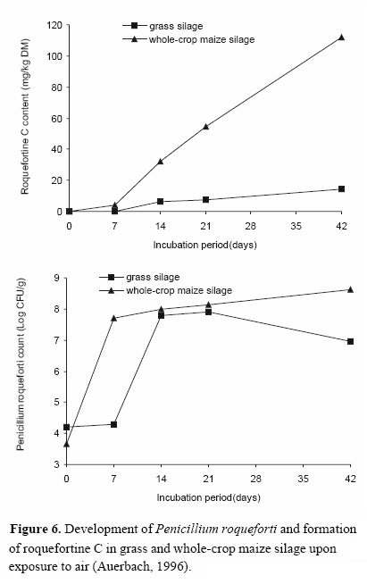 Mould growth and mycotoxin contamination of silages: sources, types and solutions - Image 8