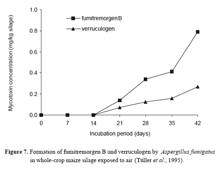Mould growth and mycotoxin contamination of silages: sources, types and solutions - Image 9