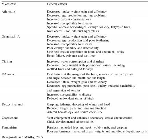 Mycotoxicoses in poultry: an overview from the Asia-Pacific region - Image 6