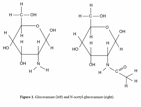 Nutraceuticals: their emerging role in equine nutrition - Image 1