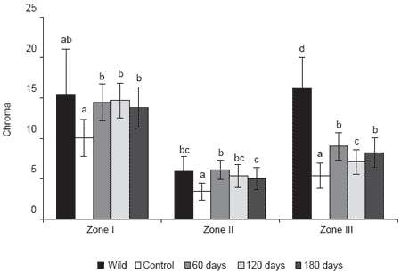 Nutritional needs for correct pigmentation in European red porgy (Pagrus pagrus) - Image 1