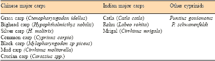 An overview of the issues facing the Asian aquaculture industry - Image 5