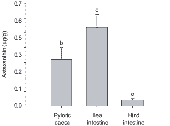 Physiological assessment of natural pigmenting carotenoid sources for salmonid fish: current research and future perspectives - Image 3