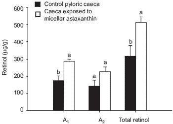 Physiological assessment of natural pigmenting carotenoid sources for salmonid fish: current research and future perspectives - Image 6
