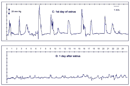 Optimum Strategies in Artificial Insemination, With Emphasis on the Timing Relative to Ovulation and the Role of the Boar - Image 3