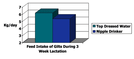 Tips and Benchmarks for Water Usage in Swine Production - Image 1