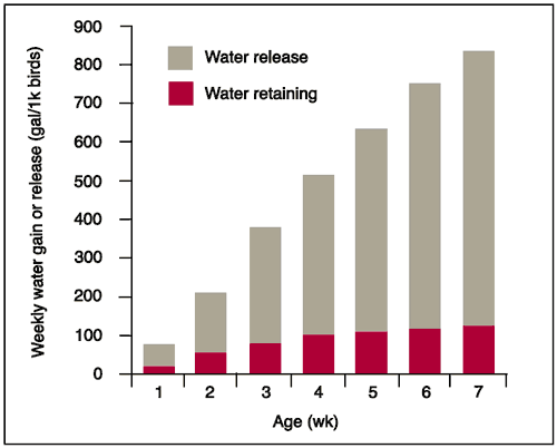 How Much Moisture Do Brooders Add to Poultry Houses? - Image 2