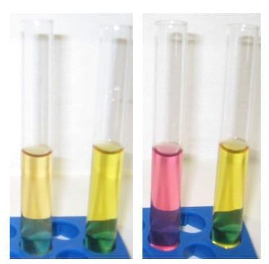 Enterococcus faecium CECT 4515: The immediately effective probiotic - Image 1