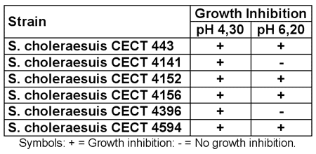 Enterococcus faecium CECT 4515: The immediately effective probiotic - Image 2