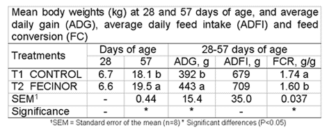 Enterococcus faecium CECT 4515: The immediately effective probiotic - Image 5