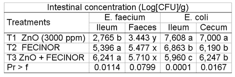 Enterococcus faecium CECT 4515: The immediately effective probiotic - Image 10