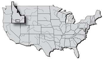 The US rainbow trout industry: challenges and opportunities - Image 1