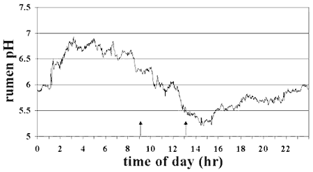 Sub-Acute Ruminal Acidosis (SARA) in Dairy Cows - Image 1