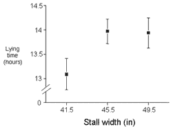 Free stall dimensions right for your cows - Image 2