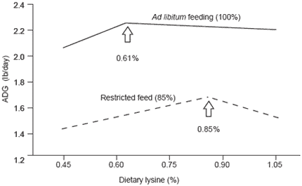 Successful feed companies in the future - Image 6